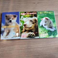 天国の犬ものがたり ～はじめまして～、〜扉のむこう〜、〜忘れないで〜