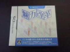 レトロ！ 魅力改革 ビズ能力DSシリーズ DSソフト!