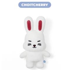 エスクプス ぬいぐるみ MINITEEN ポップアップ セブチ MINITEEN ポップアップ ぬいぐるみ エスクプス - メルカリ