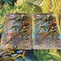 邪龍 ジャジーブラッド シークレット 2枚 - メルカリ
