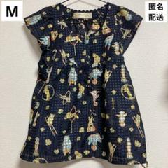 2025年最新】franche lippee レディース 半袖 シャツ・ブラウス
