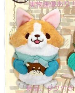 忠犬 もちしば ベーカリー BIG ぬいぐるみ
