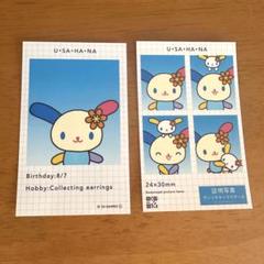 新品未使用　ウサハナ　写真入れ　アルバム　写真ファイル　©2001.2004 Amazon.co.jp: ザ・オープン・ドア: ミュージック