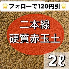 ⭐︎二本線硬質赤玉土 小粒⭐︎ 2ℓ 小粒 多肉植物 サボテン 観葉植物 土