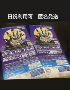 木下大サーカス 豊川 チケット2枚