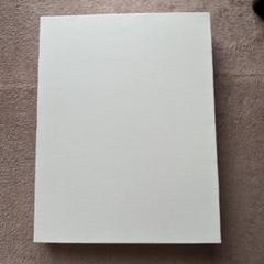 キャンバス F10 麻 100% 6枚セット【未使用】 Amazon.co.jp: ゆめ画材 限定 張りキャンバス F10 麻100％ 中目