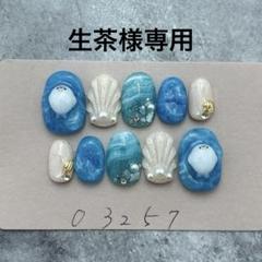ネイルチップニュアンス海ぷっくりアザラシごまちゃん貝903専用 ネイルチップニュアンス海ぷっくりアザラシごまちゃん貝903