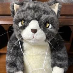 ぬいぐるみ　猫　ねこ　カドリー　ブラッド　タグ付き　美品❣️ カドリー ねこ ぬいぐるみ マリア 三毛猫【Cuddly／ヌイグルミ