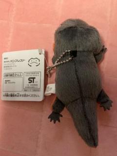 ヤモリ ぬいぐるみの中古 未使用品 メルカリ ヤモリ ぬいぐるみの中古 未使用品 メルカリ