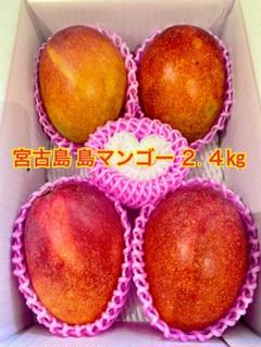 宮古島産 青マンゴー 12kg ¥9,800 沖縄県産（宮古島） アップルマンゴー【021021】【夏ギフト