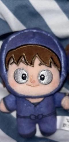 2025年最新】鉢屋三郎 ほわぬいの人気アイテム - メルカリ