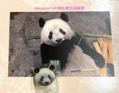 7700上野動物園 ペン アトレ シャンシャン 缶バッジ タオル さくらパンダ Amazon.co.jp: 上野動物園 ペン 上野アトレ シャンシャン 缶