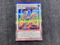 プリメラ　25th クオシク 重騎士プリメラ(25thシク) | クォーターセンチュリー