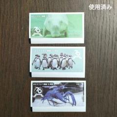 鳥羽水族館　コレカ　10パックセット　70周年記念　メイキラ　セレナ　チェキ風 コレクションカード 鳥羽水族館 10パックセット チェキ風 トレカ