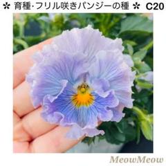 専用‼︎フリルパンジー ⑳ ＊種子100粒 2025年最新】フリルパンジー種の人気アイテム - メルカリ