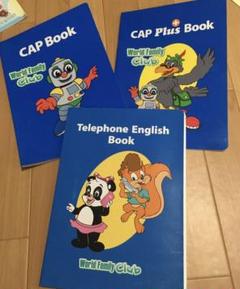 DWE BOOK 12冊セット DWE絵本(DWEブック)とは？年代による違いメインプログラムの絵本
