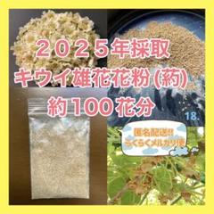2025年最新】キウイ 花粉の人気アイテム - メルカリ
