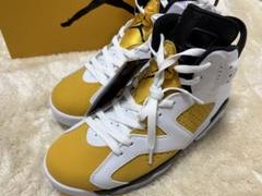 Nike Air Jordan 6 レトロイエローオークル ナイキ ジョーダン 1/29発売｜Nike Air Jordan 6 Retro 