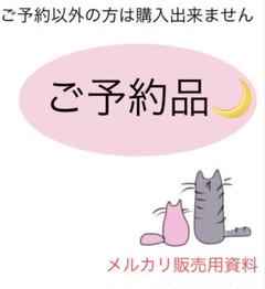【土日限定特別価格】バスガイド資料 35点フルセット 教本 テキスト 2025年最新】教本 バスガイドの人気アイテム - メルカリ