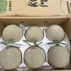 野菜栽培の新技術 ③ ハウスメロン 生理と栽培技術』 平林哲夫