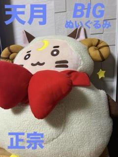 天月　ぬいぐるみ ビッグ　BIG 特大　AMATSUKI 限定　正宗 天月 BIG 正宗ぬいぐるみ