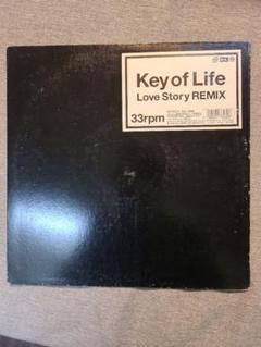 Key of Life - Love Story REMIX　レコード 2025年最新】Key of Life Love Storyの人気アイテム - メルカリ