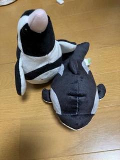 2025年最新】シャチ ペンギンの人気アイテム - メルカリ