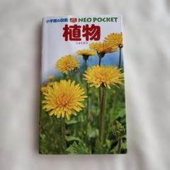 小学館の図鑑　ネオぽけっと　植物