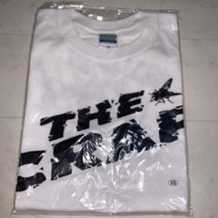 【未開封品】SHAKALABBITS Tシャツ3枚&タオル 2025年最新】シャカラビッツ Tシャツの人気アイテム - メルカリ