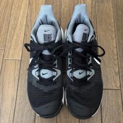 NIKE ナイキ バッシュ バスケットシューズ スニーカー 25センチ