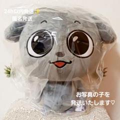 【24h発】Kkamung & Angto めちゃもふぐっとぬいぐるみ 在庫③