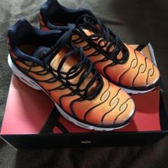国内未発売箱付きNike air max plus OG