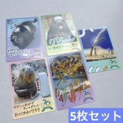 トレカ 鳥羽水族館 セイウチ オタリア　アザラシ　コレクションカード コレカ