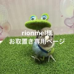 専用ページ　羊毛フェルト　傘でお出かけボタンインコ　鳥 専用ページ 羊毛フェルト 傘でお出かけボタンインコ 鳥 - メルカリ