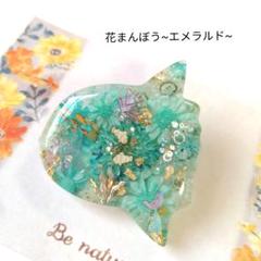 sale【しめ縄からばぁ】レジンヘアゴム　ブローチ　ペンダント　1/14まで sale【シュナウザー】レジンヘアゴム ブローチ ペンダント 犬