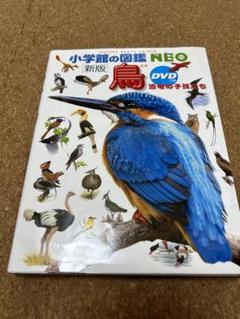 鳥 図鑑 小学館 鳥DVD 小学館の図鑑NEO〔新版〕鳥 | 柚木修, 水谷高英, 上田恵介