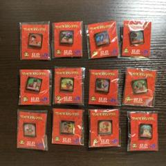 【非売品】ワンピース　ピンバッジ　JR西日本スタンプラリー 2012年 全12種