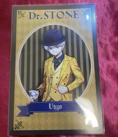 Dr.stone 西園寺羽京　アーガイル　特典　ポストカード　ブロマイド