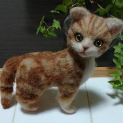 羊毛フェルト　チャトラ　小さめ猫