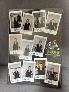 【激レア】Acidblackcherry 写真集 大量冊子 FC会報セット中古 激レア Acid Black Cherry Shangri-la FC限定写真集 - メルカリ
