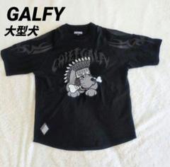 美品　GALFY トラックジャケット　モノグラム　総柄　ビッグロゴ　大型犬　XL bf1814773fe2f7df22f0b853b59a91