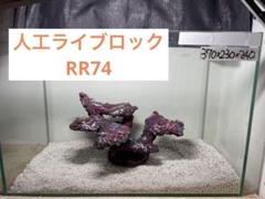 2025年最新】ライブロック 人工の人気アイテム - メルカリ