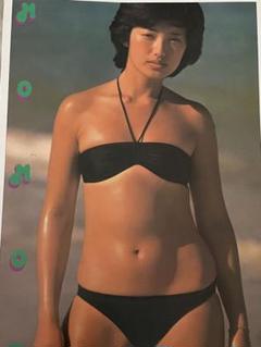 即購入可 送料込 山口百恵&榊原郁恵 グラビア切り抜き 2025年最新】切り抜き 山口百恵の人気アイテム - メルカリ