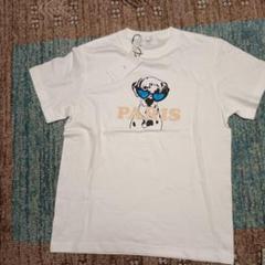 2025年最新】スコットクラブ レディース 半袖(Tシャツ) Tシャツ