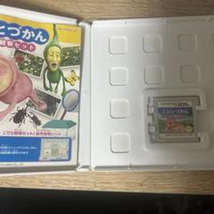 こびとづかん こびと観察セット Nintendo 3DS