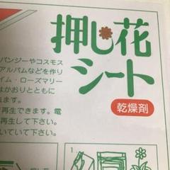 押花シートの中古 未使用品 メルカリ