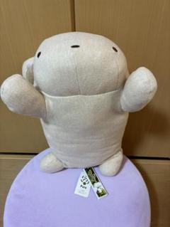 まつもとフリッカ　イルカ　かめ　たこ m42621768516_1.jpg?1739354386