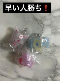 ジュエルペット めじるしアクセサリー3点セット 【早い人勝ち❗️】