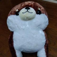 むちむチワワのぬいぐるみ