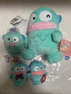 ハンギョドン 4点セット